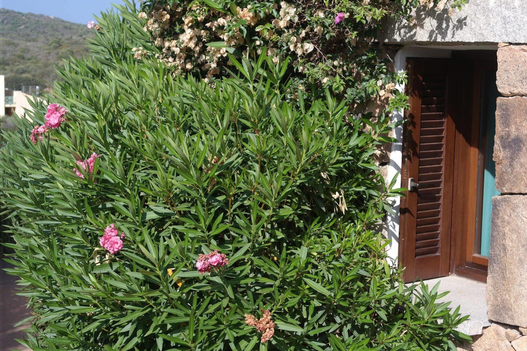 Sardinia Blu Residence Golfo Aranci Exterior photo